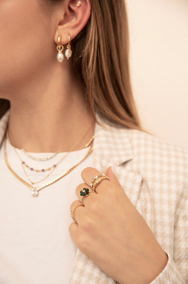 Anillo - Rimesse