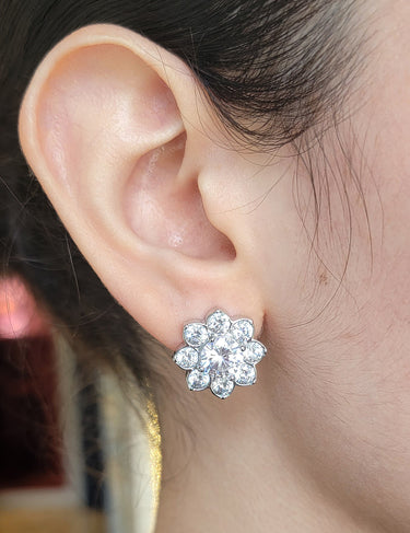 Aretes - Cassia