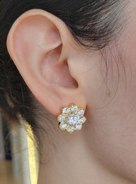 Aretes - Cassia