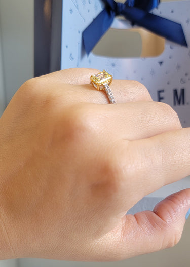 Anillo - Brielle