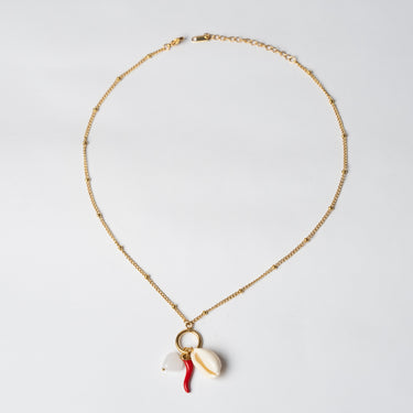 Collar - Cypraea Shell
