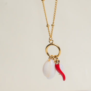 Collar - Cypraea Shell
