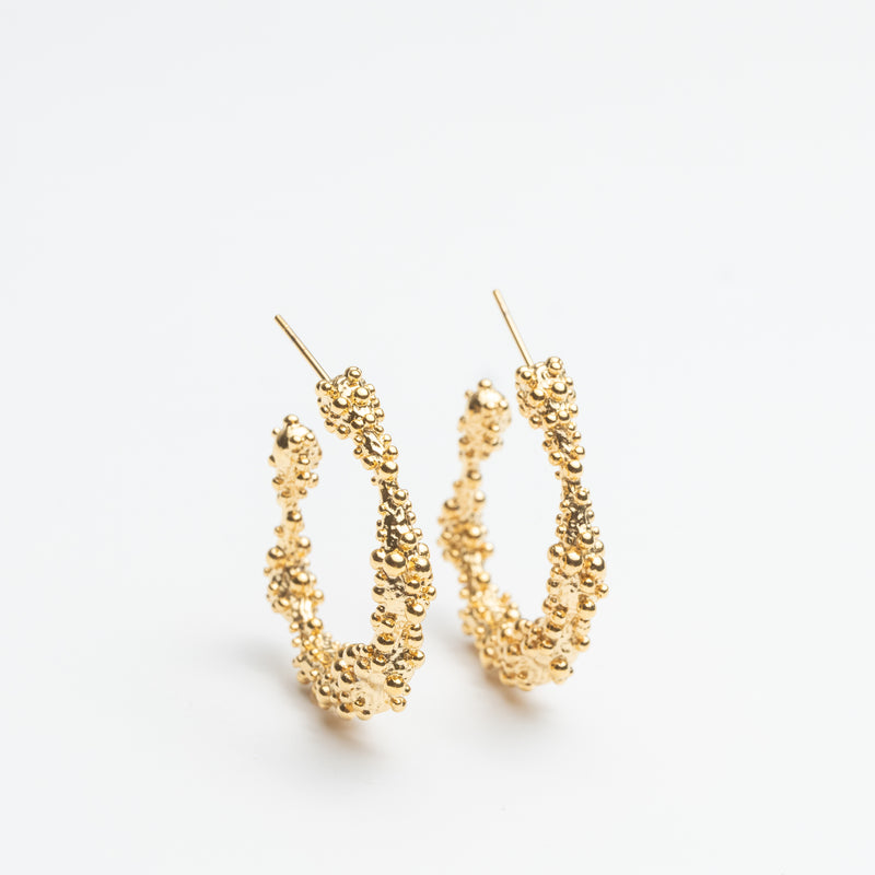 Arian Earrings