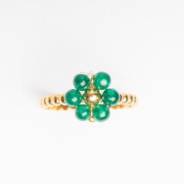 Anillo - Rimesse